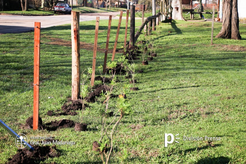 Alumnos, docentes y padres del Jardn 904 del forestaron la plaza del 