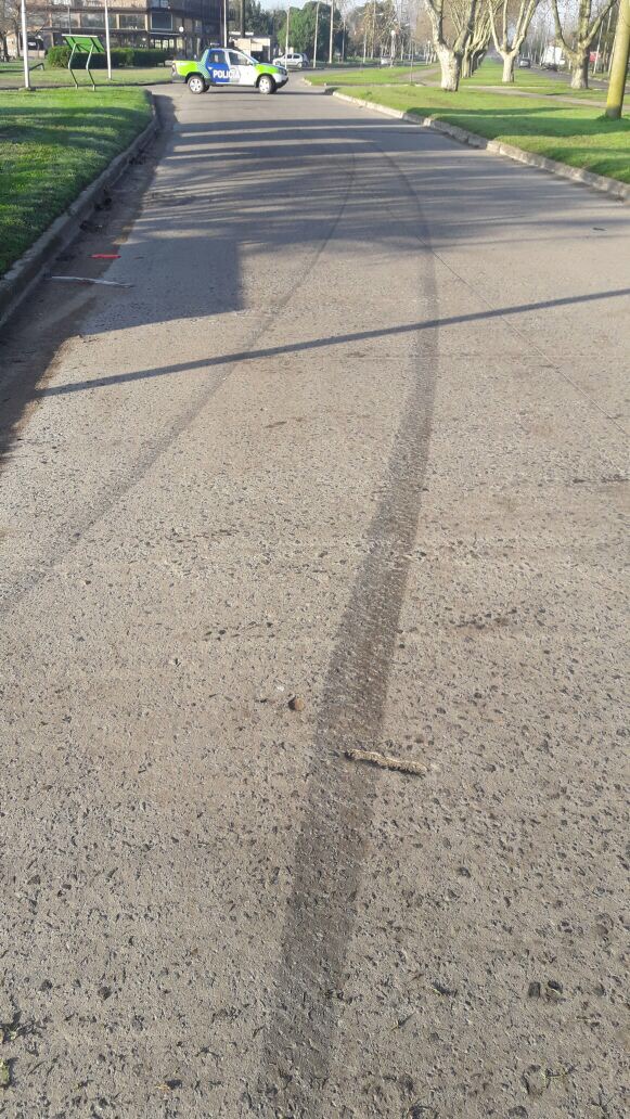 Auto pierde el control e impacta contra un árbol