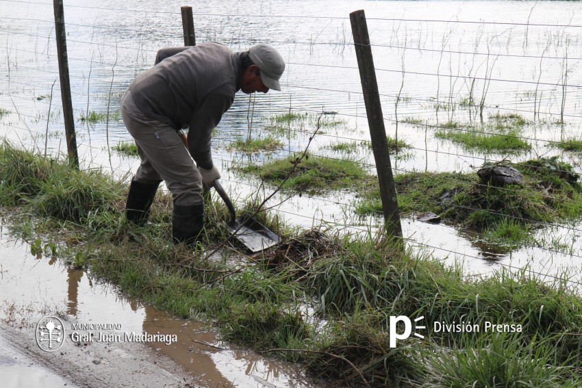 Distintas áreas trabajan en el barrio Belgrano para mejorar la zona lu