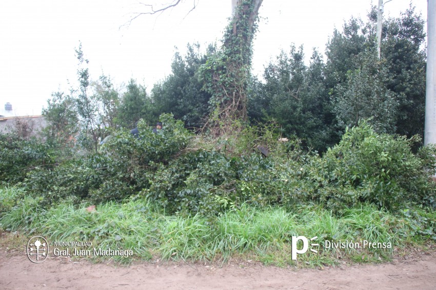 Defensa Civil realiza tareas de prevencin en distintos puntos de la c