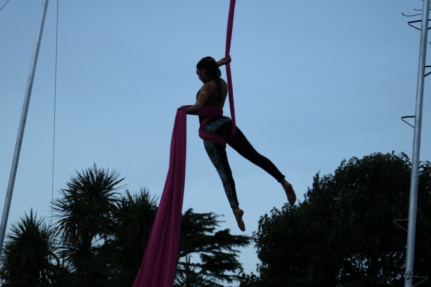 La Asociacin Almas Gemelas concret la jornada de concientizacin sob