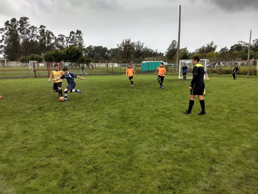 Torneos Bonaerenses: avanza la competencia de las distintas categoras