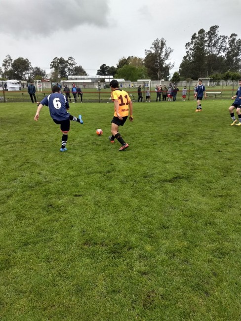 Torneos Bonaerenses: avanza la competencia de las distintas categoras