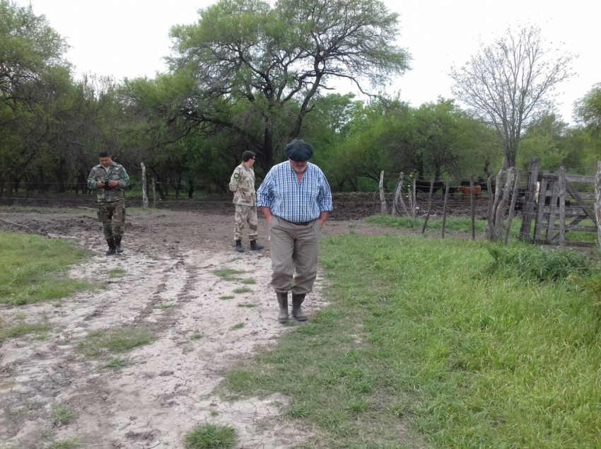 Llegan hoy a Madariaga los vacunos recuperados en Entre R�os