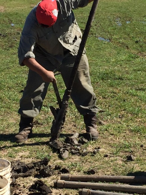 Realizan muestreo del suelo en el predio en donde se construir la nue