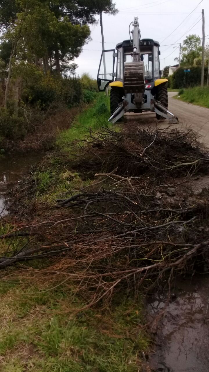 Instalaron farolas para brindar mayor iluminacin en el paseo peatonal