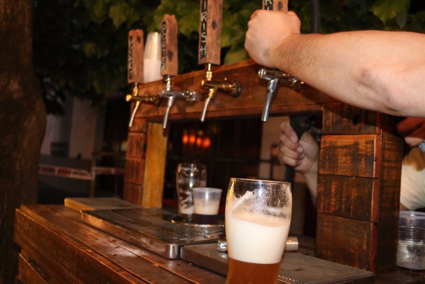 La fiesta de la cerveza convoc a ms de 1500 personas en pleno centr