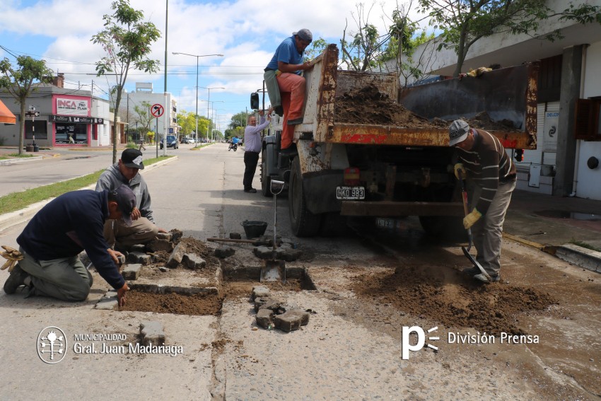 Arreglo de baches en la Av. Martínez Guerrero