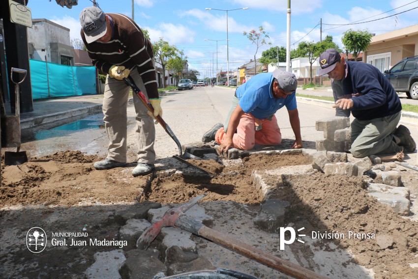 Arreglo de baches en la Av. Martínez Guerrero