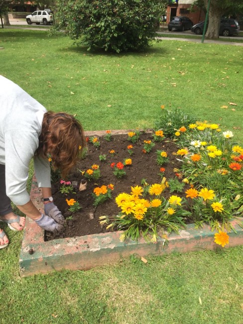 Arreglos en Plaza Madariaga luego de daos provocados por vandalismo