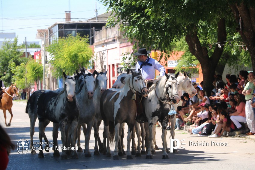Las mejores fotos de la Fiesta Nacional del Gaucho