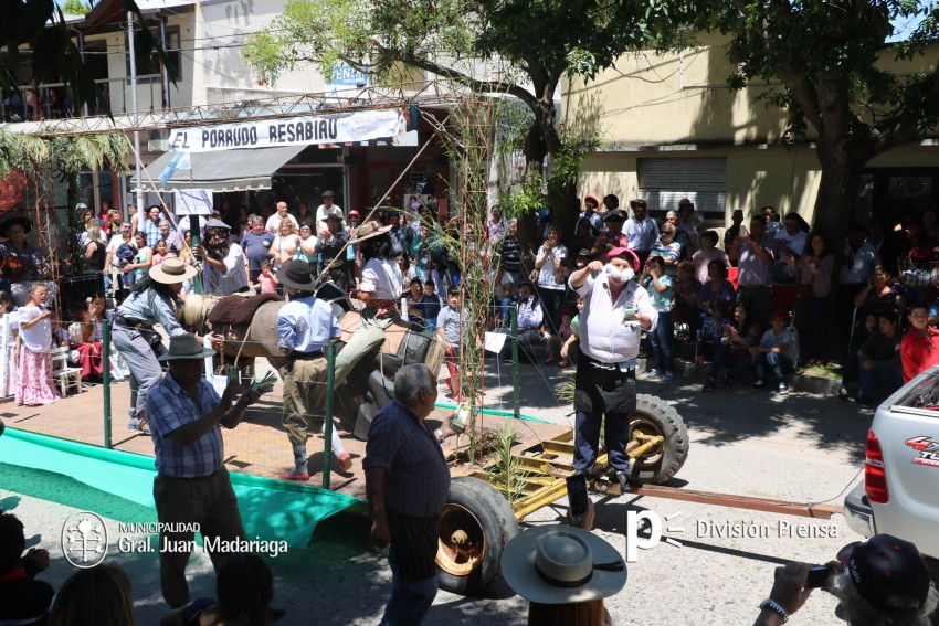 Las mejores fotos de la Fiesta Nacional del Gaucho