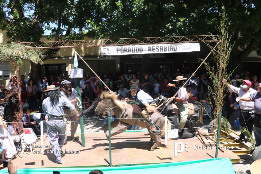 Las mejores fotos de la Fiesta Nacional del Gaucho