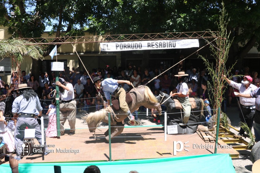 Las mejores fotos de la Fiesta Nacional del Gaucho