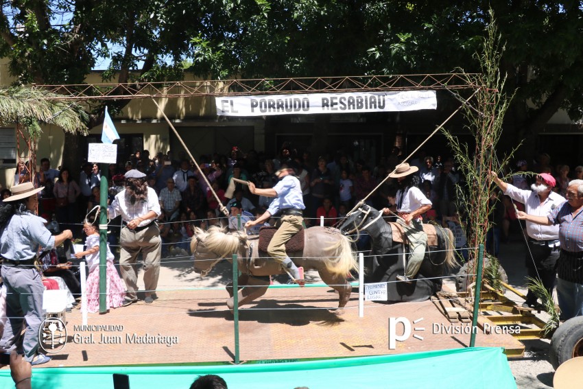 Las mejores fotos de la Fiesta Nacional del Gaucho
