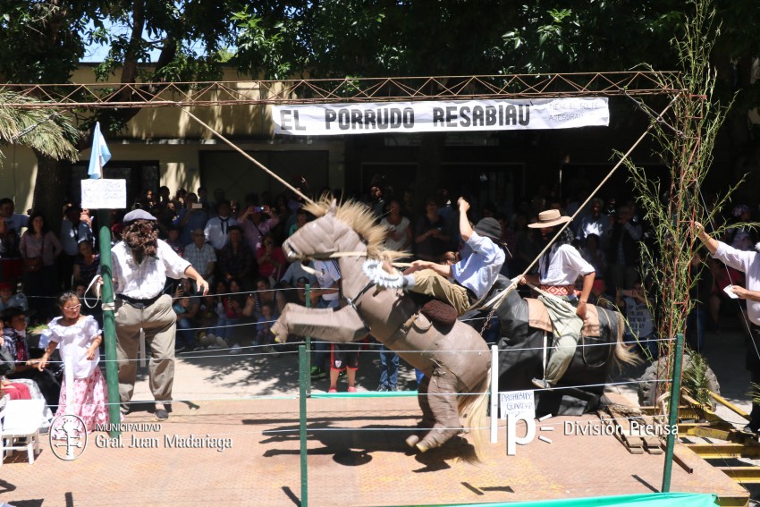 Las mejores fotos de la Fiesta Nacional del Gaucho