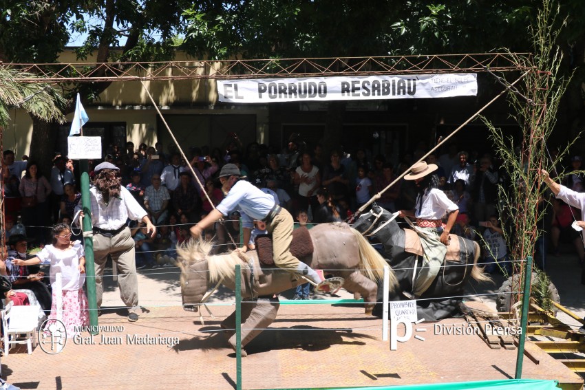 Las mejores fotos de la Fiesta Nacional del Gaucho