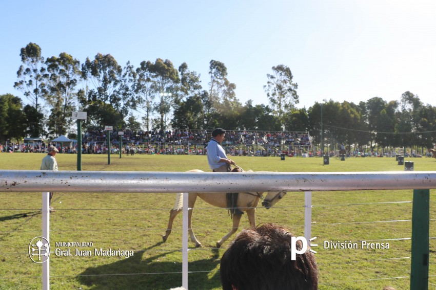 Las mejores fotos de la Fiesta Nacional del Gaucho