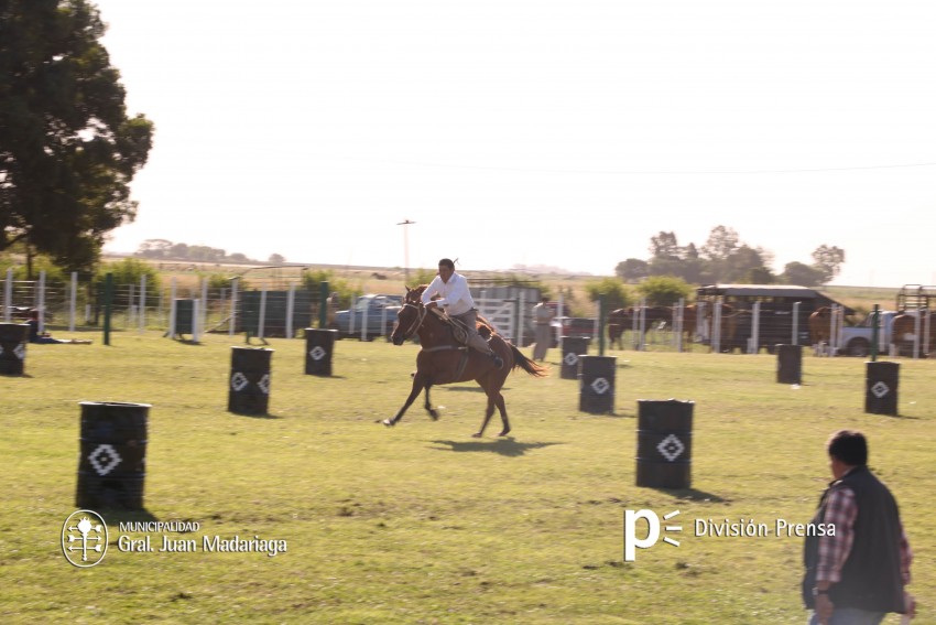 Las mejores fotos de la Fiesta Nacional del Gaucho