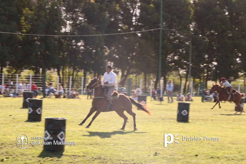 Las mejores fotos de la Fiesta Nacional del Gaucho