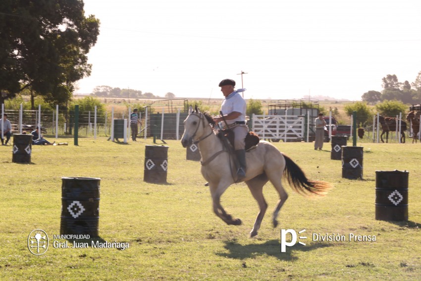 Las mejores fotos de la Fiesta Nacional del Gaucho
