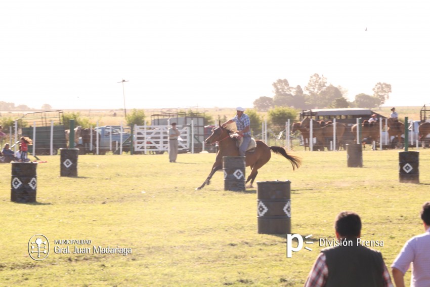 Las mejores fotos de la Fiesta Nacional del Gaucho