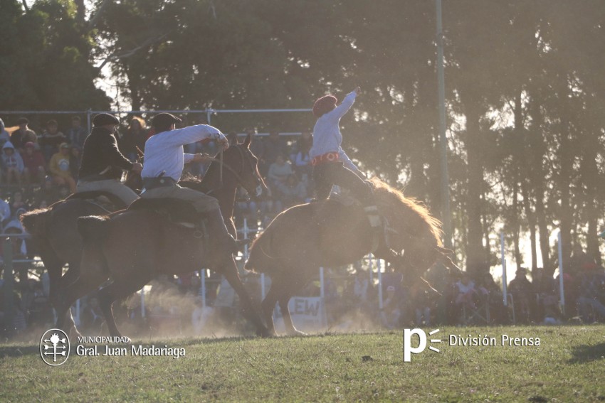 Las mejores fotos de la Fiesta Nacional del Gaucho