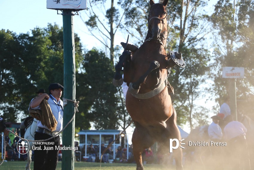Las mejores fotos de la Fiesta Nacional del Gaucho