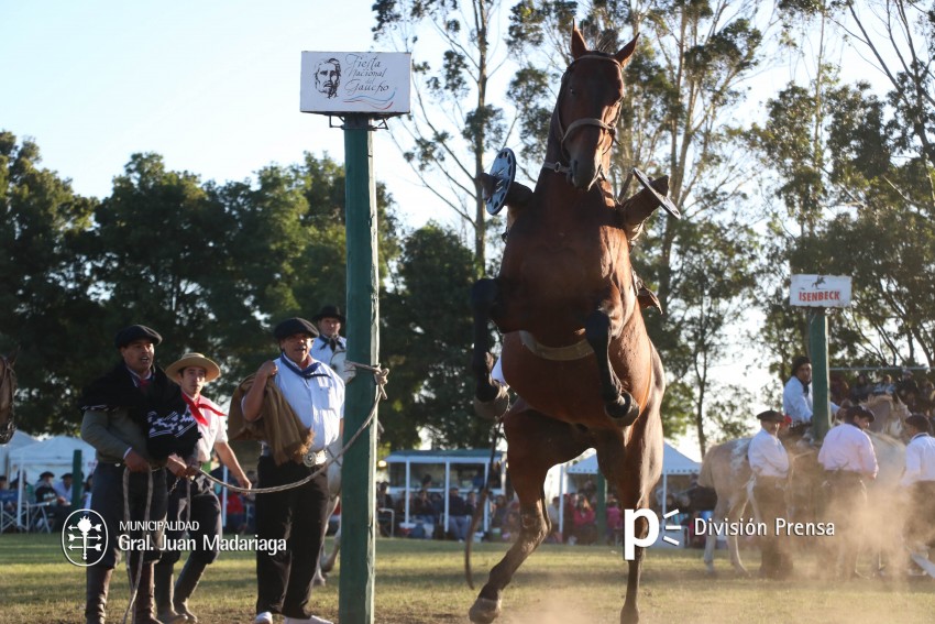 Las mejores fotos de la Fiesta Nacional del Gaucho