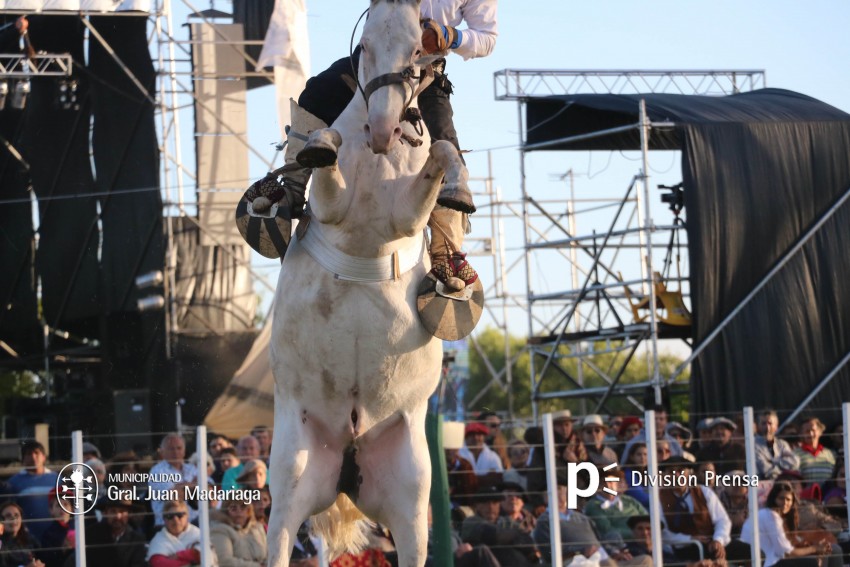Las mejores fotos de la Fiesta Nacional del Gaucho