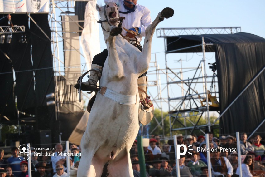 Las mejores fotos de la Fiesta Nacional del Gaucho