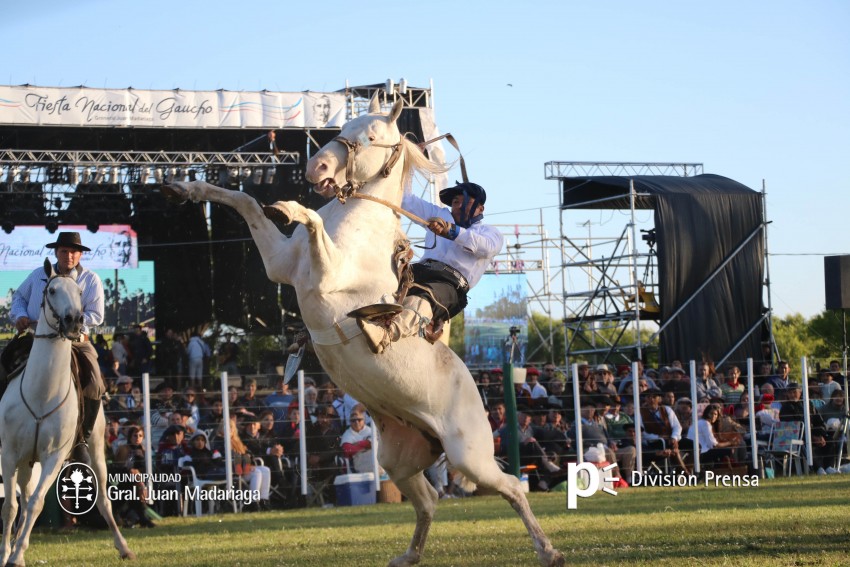 Las mejores fotos de la Fiesta Nacional del Gaucho
