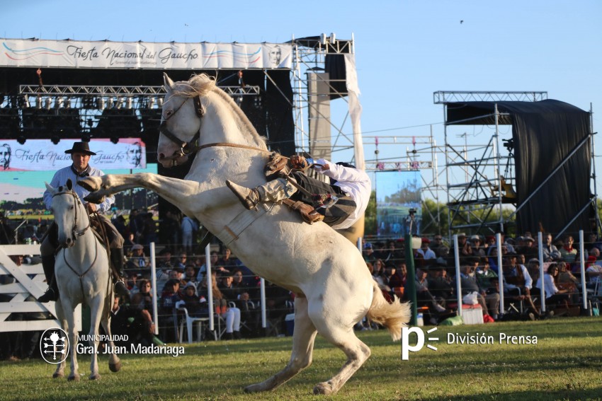 Las mejores fotos de la Fiesta Nacional del Gaucho