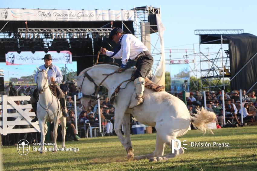 Las mejores fotos de la Fiesta Nacional del Gaucho