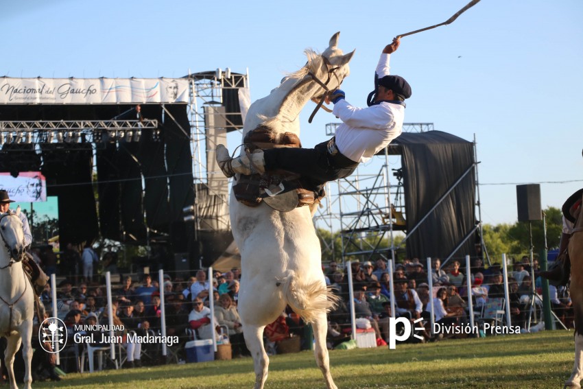 Las mejores fotos de la Fiesta Nacional del Gaucho