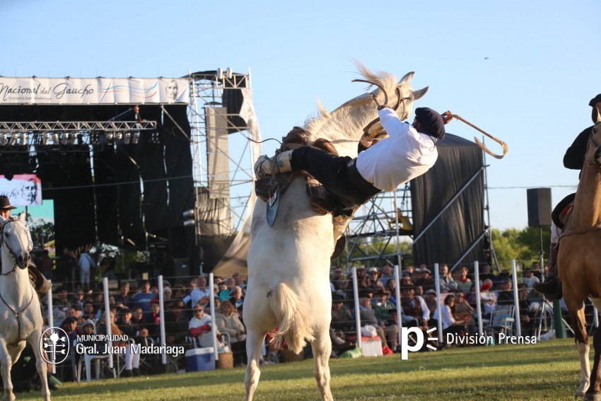 Las mejores fotos de la Fiesta Nacional del Gaucho