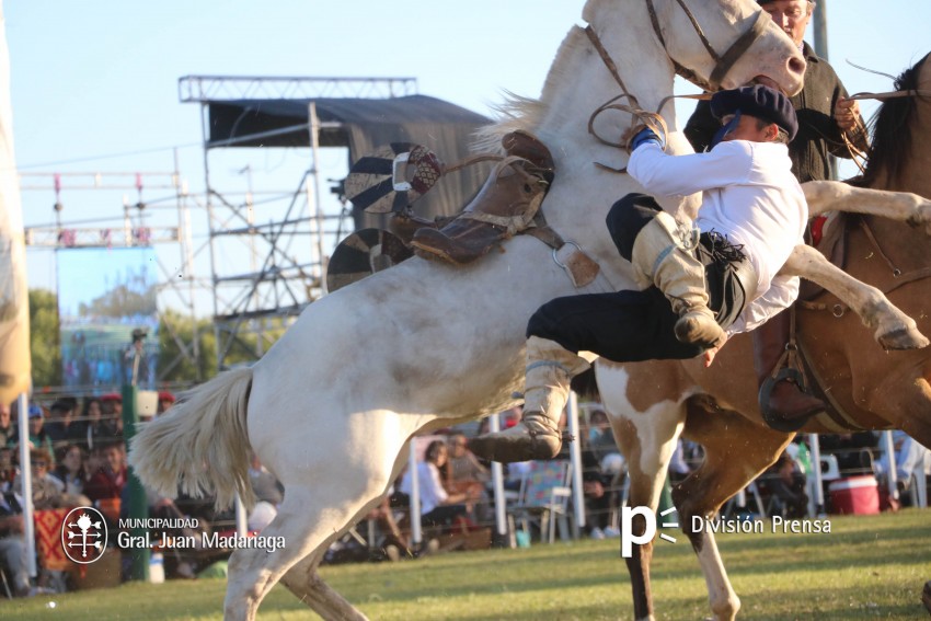 Las mejores fotos de la Fiesta Nacional del Gaucho