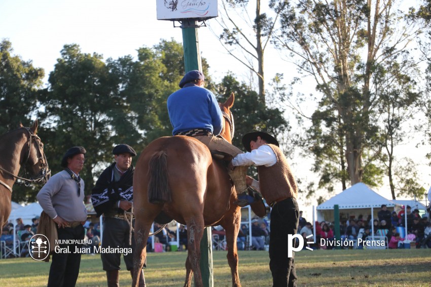 Las mejores fotos de la Fiesta Nacional del Gaucho