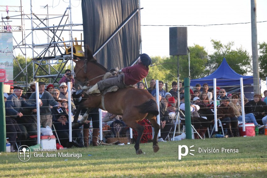 Las mejores fotos de la Fiesta Nacional del Gaucho
