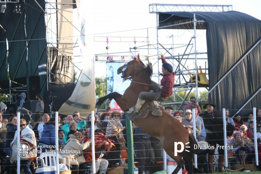 Las mejores fotos de la Fiesta Nacional del Gaucho