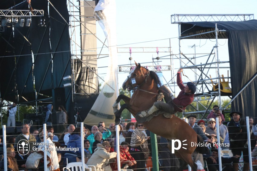 Las mejores fotos de la Fiesta Nacional del Gaucho