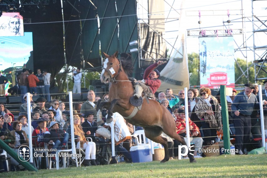Las mejores fotos de la Fiesta Nacional del Gaucho