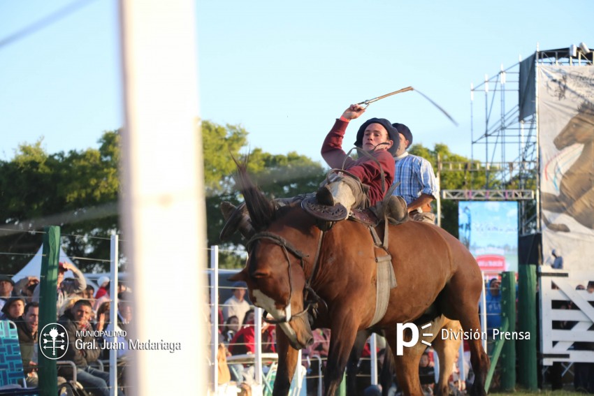 Las mejores fotos de la Fiesta Nacional del Gaucho