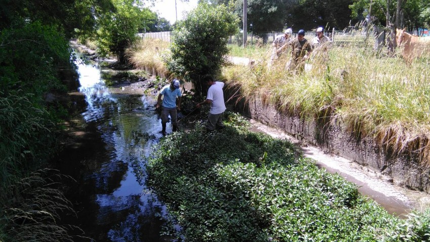 Colocación de polvo de piedra, incorporación de tubos de desagües y  l