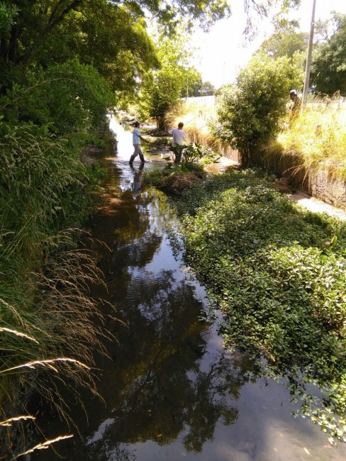 Colocación de polvo de piedra, incorporación de tubos de desagües y  l