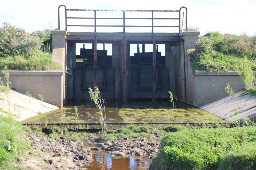 Relevaron el estado del Canal 5 para elaborar un informe y presentarlo