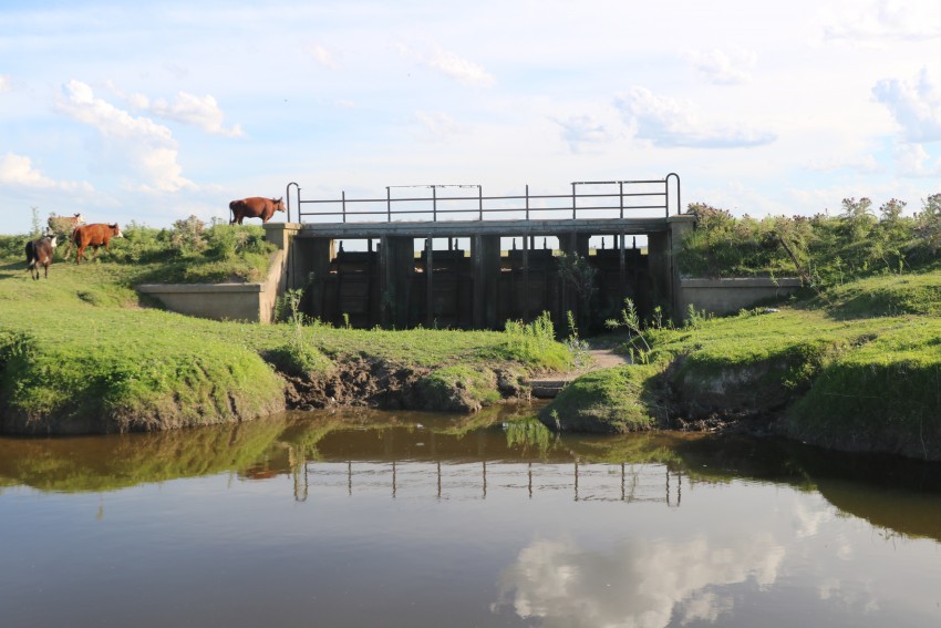 Relevaron el estado del Canal 5 para elaborar un informe y presentarlo