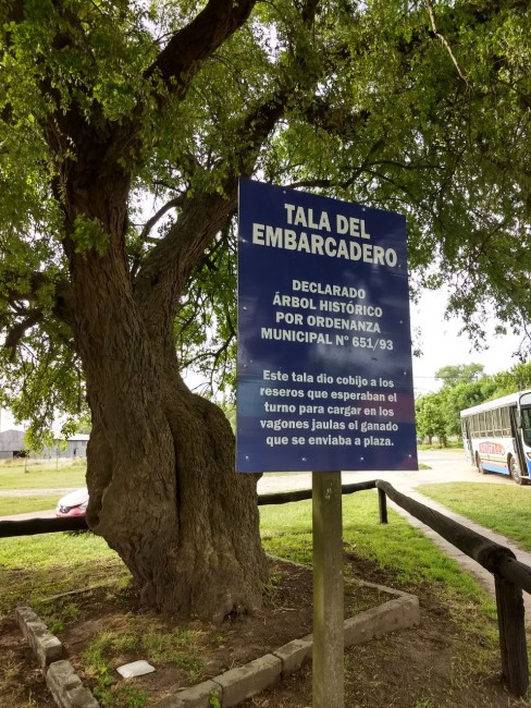 Se registraron daos en el 