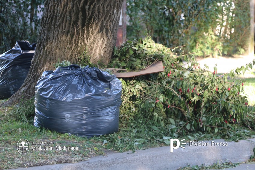 Continan los apercibimientos por arrojar residuos de porte medio en l