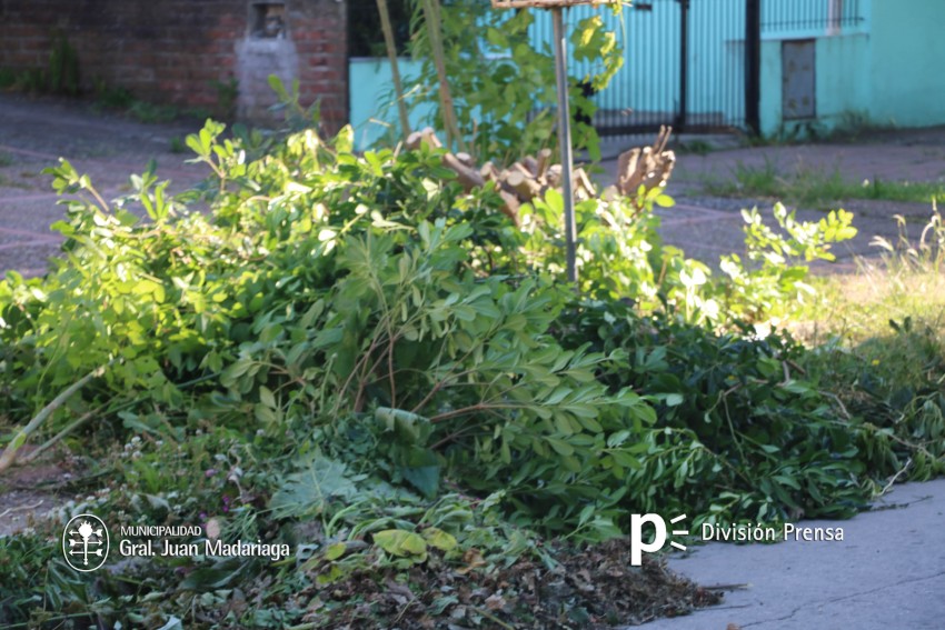 Continan los apercibimientos por arrojar residuos de porte medio en l